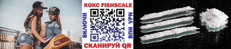 Кокаин FishScale  как найти закладки  Зверево 