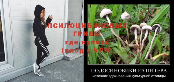 круглые Аркадак