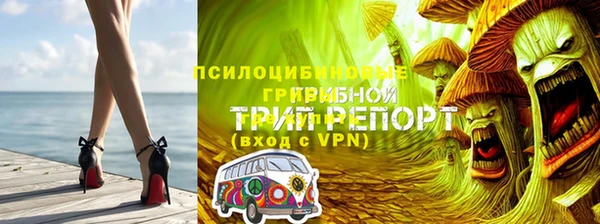 прущая мука Арсеньев