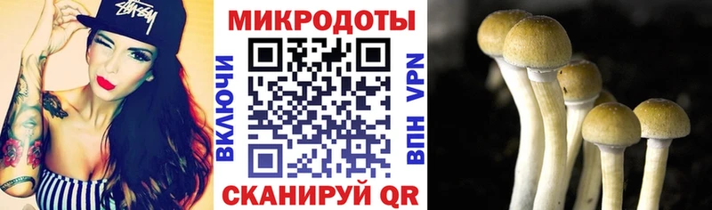 маркетплейс наркотические препараты купить наркотик Зверево Псилоцибиновые грибы Psilocybine cubensis